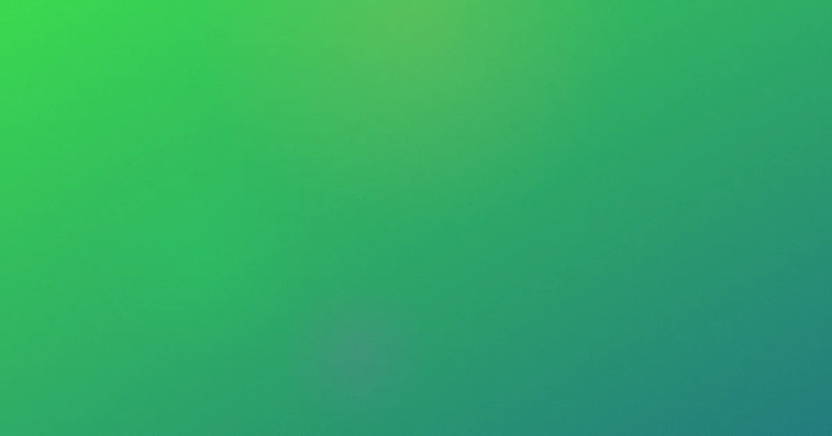 张小斐怎么用：观影指南